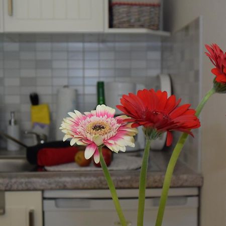 Ferienapartments Urlaub Und Meer Ostseebad Kühlungsborn Pokoj fotografie