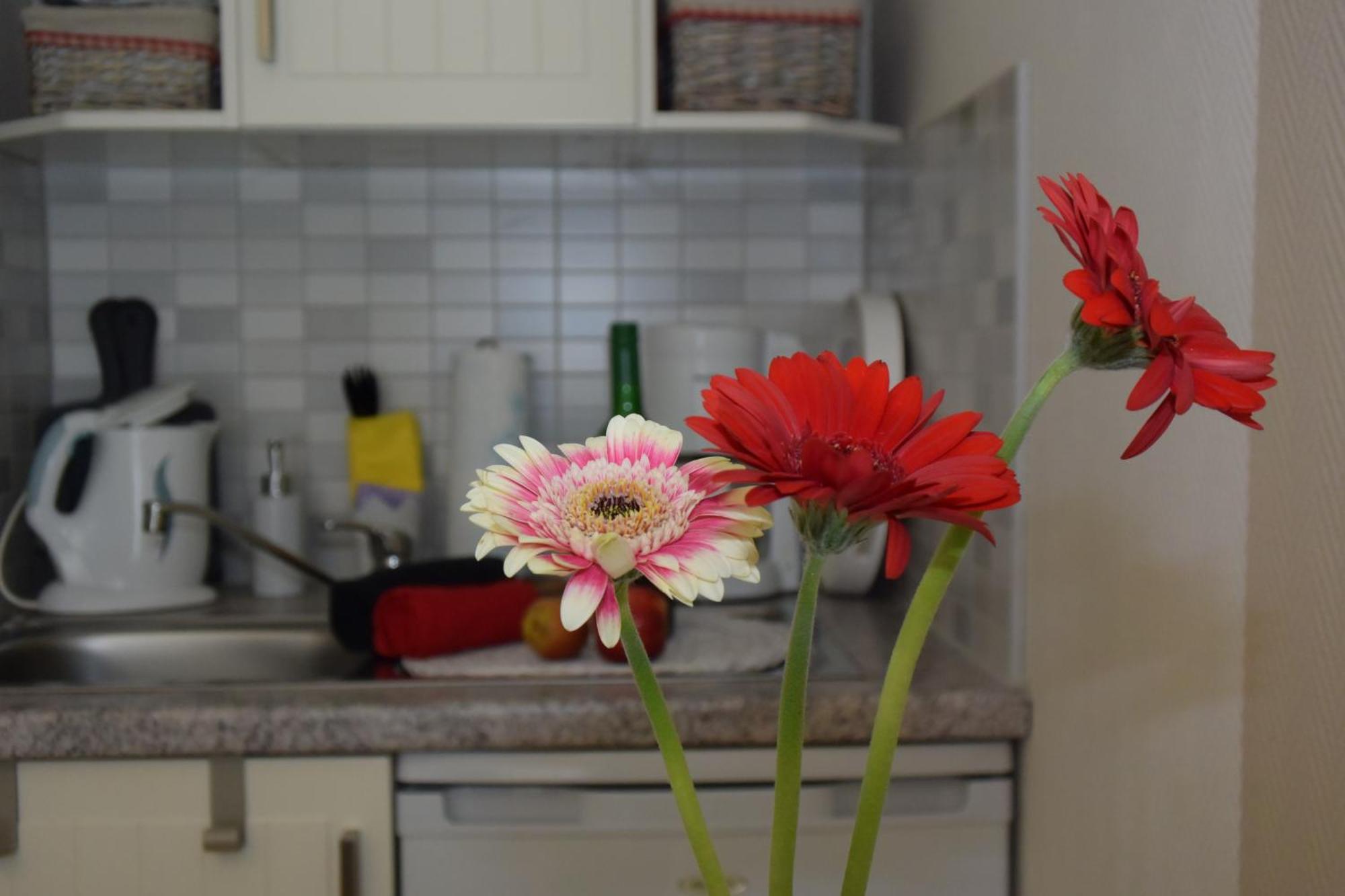Ferienapartments Urlaub Und Meer Ostseebad Kühlungsborn Pokoj fotografie